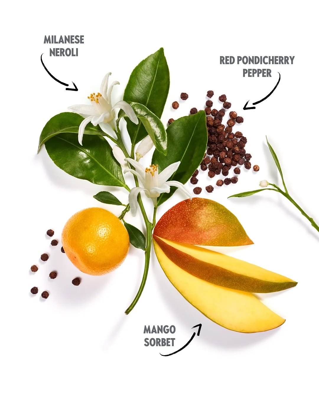 GIORDANI GOLD Miss Giordani eau de Parfum - Gambar 5